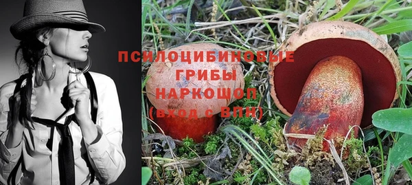 твердый Алзамай