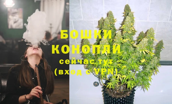 сатива Алексеевка