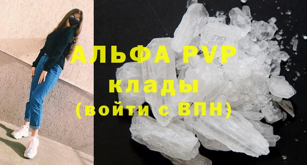 apvp Алексин