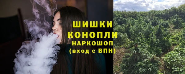 твердый Алзамай