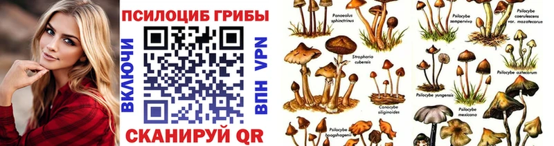Галлюциногенные грибы Cubensis  shop официальный сайт  МЕГА ссылка  Игра  наркошоп 